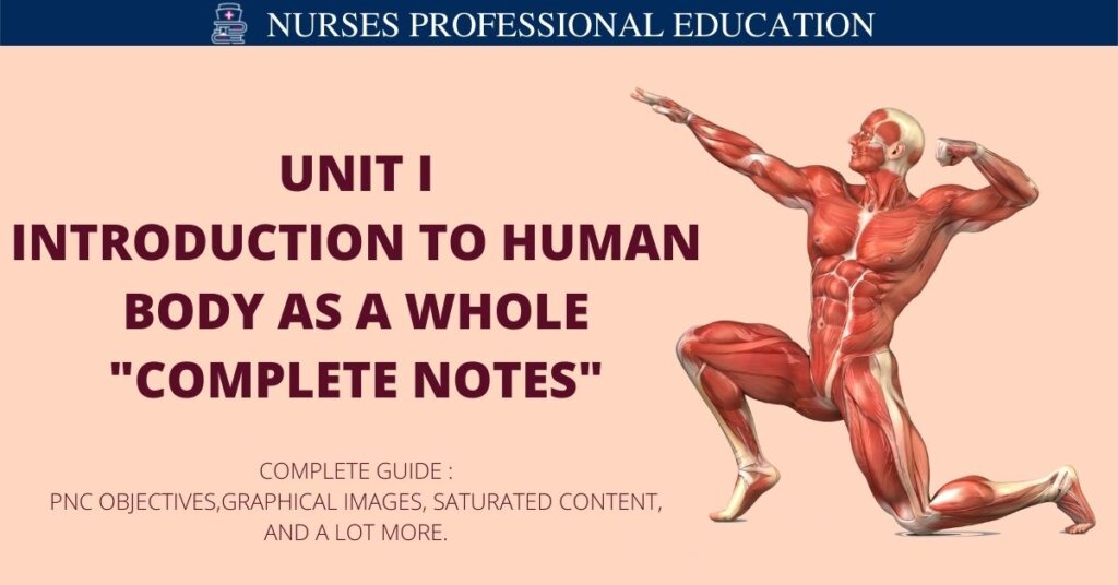 Introduction to Human Body