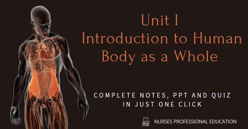 Anatomy and Physiology , introduction , guide